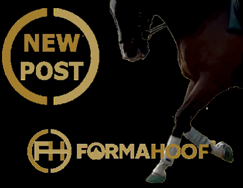 FormaHoofLtd giphygifmaker horse pony farrier GIF