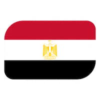 World Cup Football Sticker