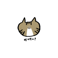 貓 Hello Sticker