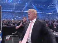 wwe donald GIF