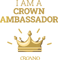 Crown Diamond Sticker by ORGANO™
