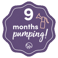 Sarahwells Sarah Wells Breastpumpbag Pumpingmom Sticker by Sarah Wells Bags