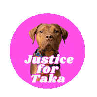 Taka Sticker by RescueMeATL