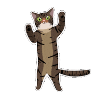 hungry cat Sticker by Stefano Cavada