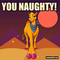 Sassy Got You GIF by CamelToe