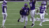 Celebration Defense GIF by Minnesota Vikings