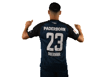 Raphael Scp07 Sticker by SC Paderborn 07