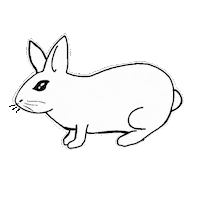 Bunny Nft Sticker by Digital Pratik
