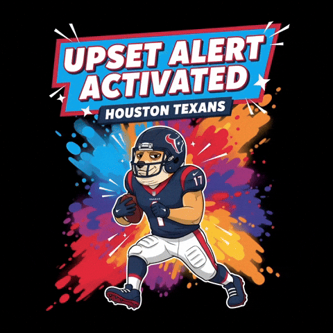 Houston Texans Win GIF by Doge Pound