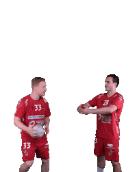 Wilhelmshaven Whv Sticker by whvhandball