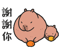 Thanks Capybara Sticker