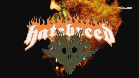 GIF by Party Legends