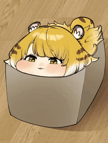 Cat Box GIF