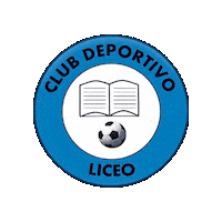 Futbolsanjavier Sticker