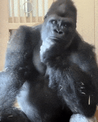 Watching Locked In GIF