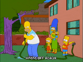 homer simpson GIF