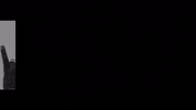 zakes bantwini dancing GIF by Universal Music Africa