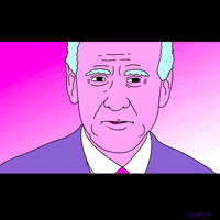 Joe Biden Fox GIF by gifnews