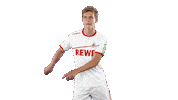 vincent koziello soccer Sticker by 1. FC Köln