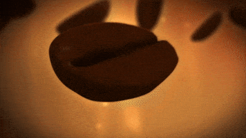 canchacafe coffee cafe peru peruvian GIF