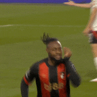 Happy Premier League GIF by AFC Bournemouth