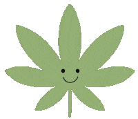 Weed Stay High Sticker