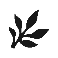 Skincare Waxing Sticker by The Pink Canoe Studio
