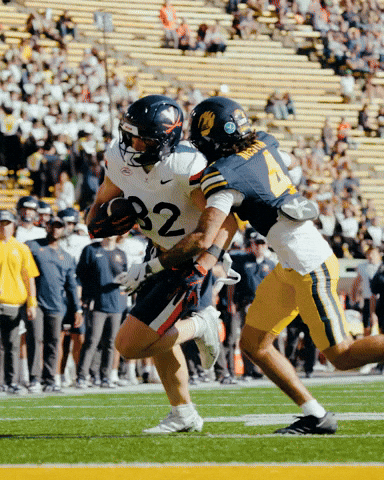 Scott Stadium Uva GIF by Virginia Athletics