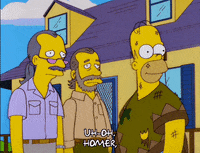 homer simpson episode 6 GIF