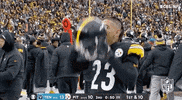 Pittsburgh Steelers Football GIF by NFL