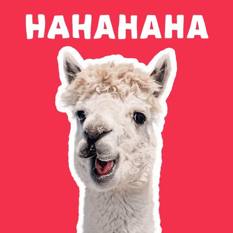 pfanneritalia sticker italia alpaca pfanner GIF