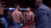 Mixed Martial Arts Sport GIF by UFC