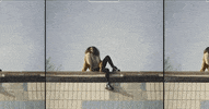 Eli GIF by James Hersey