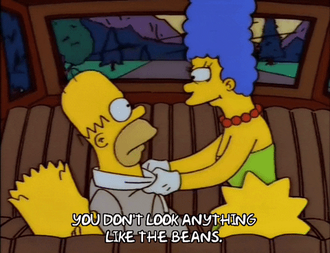 homer simpson episode 13 GIF