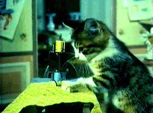 humans GIF