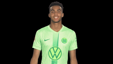 Germany Win GIF by VfL Wolfsburg