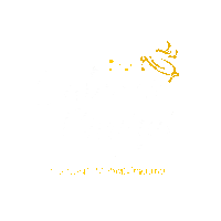 Valle Valledelcauca Sticker by Buga Ancestral