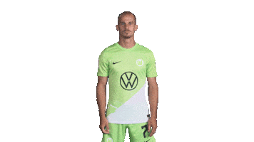 Football Swipe Up Sticker by VfL Wolfsburg