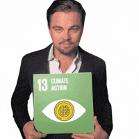 ecobrainambiental consultoria ecobrainambiental universoecobrain ecobrain GIF