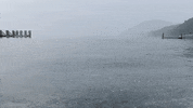 Climate Change Water GIF by Lake Street Dive