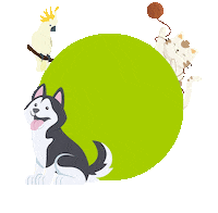 Cats Dogs Sticker by FINDEFIX - Das Haustierregister des Deutschen Tierschutzbundes