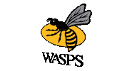 Rugby Netball Sticker by Wasps