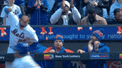Excited Major League Baseball GIF by New York Mets