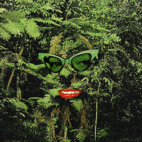 Unqannyvable art trippy collage surrealism GIF