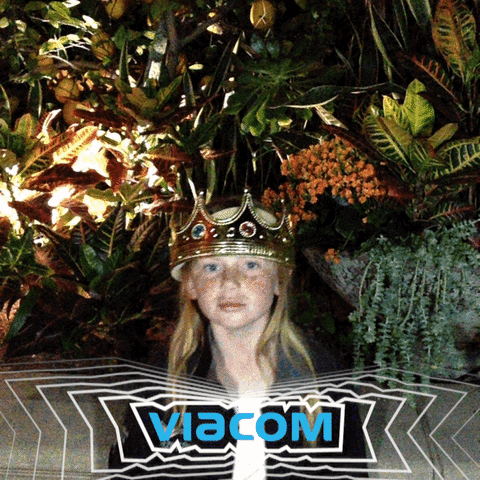 GIF by Viacom R3D Team