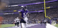 Minnesota Vikings Football GIF by NFL