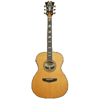 Guitar Dangelico Sticker by Tarara