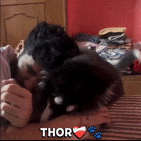 Roadies GIF