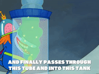 season 5 GIF by SpongeBob SquarePants
