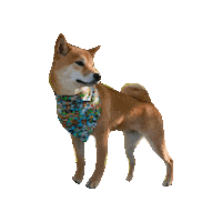 Shiba Inu Doge Sticker by Geekster Pets